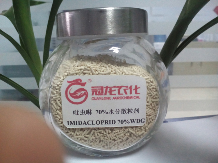 IMIDACLOPRID 70%