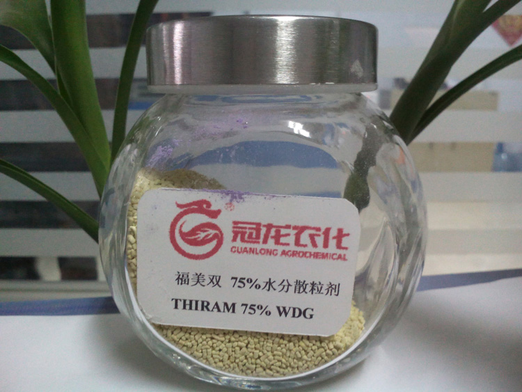 THIRAM 75% WDG y