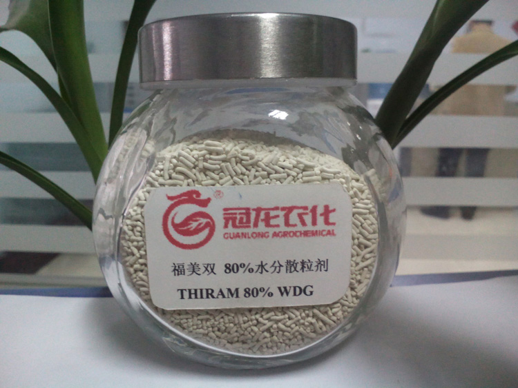 THIRAM 80% WDG