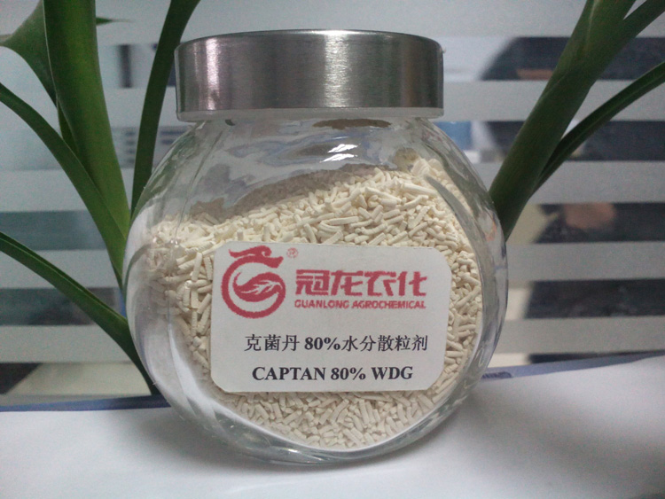 CAPTAN 80% WDG