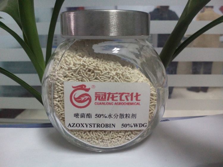 AZOXYSTROBIN  50